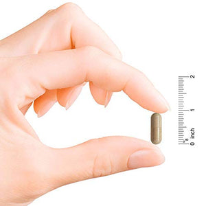Codeage Grass Fed Bone Marrow Supplement - Freeze Dried, Non-Defatted, & Desiccated Beef Bone Marrow Pills - Raw Whole Bone Marrow, Bone Matrix, Cartilage - 3000mg per Serving - 180 Capsules