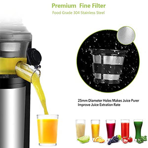 QXWJ 200W 40RPM Stainless Steel Masticating Slow Auger Juicer,220V Fruit and Vegetable Juice Extractor Compact Cold Press Juicer Machine