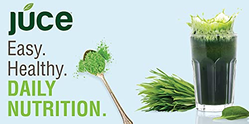 Terra Kai Organics JUCE Greens Superfood Drink Mix - Harvest Apple Flavor - 40 Servings - Fruits & Vegetables for Immune Boost, Detox & Cleanse, Improve Gut Health (17.44 Ounce, Pack of 2)