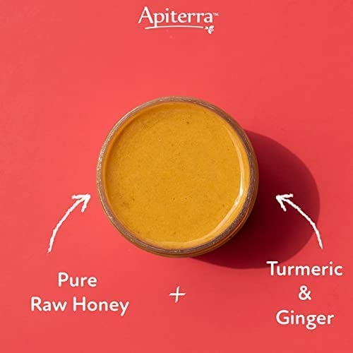 ApiTerra - Raw Honey with Turmeric & Ginger, 11oz (pack of 3)