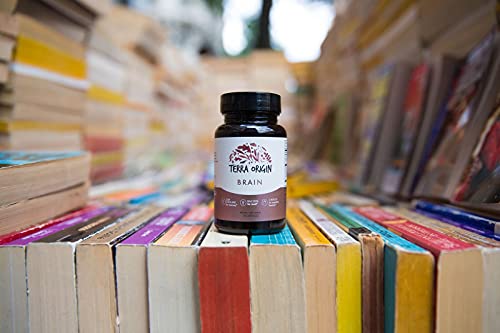 Terra Origin, Healthy Brain Supplement, Capsules, 30 Servings, with CDP Choline, Ginkgo Biloba Extract, and Bacopa - for Healthy Mind, Improves Memory, Recall and Function