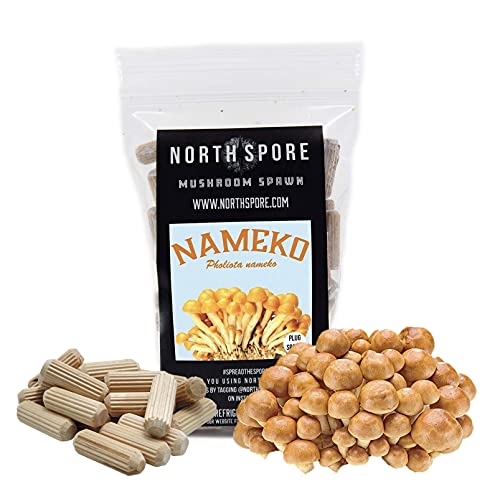 North Spore Nameko Mushroom Plugs, 100 Count Premium Quality Mushroom Plug Spawn, Made in USA, Grow Mushrooms on Logs, Easy to Use, Gourmet Culinary Mushrooms, Medicinal Mushrooms