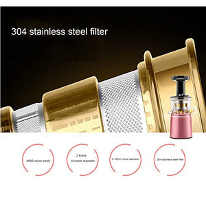 Slow Masticating Juicer Higher Nutrients, Cold Pressed Juicer Machines Vegetable And Fruit, BPA-Free Components, Easy To Clean
