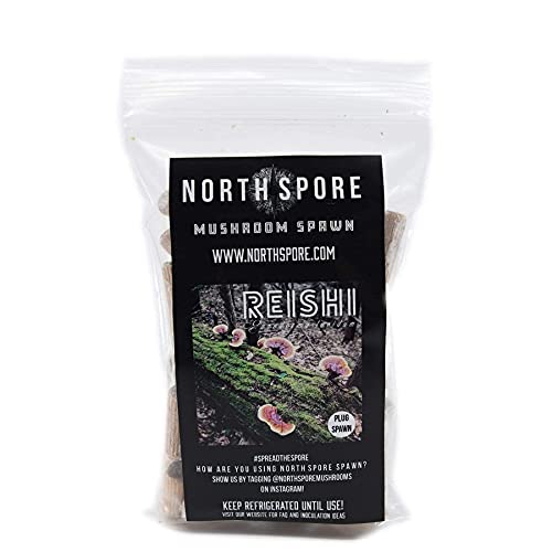 North Spore Reishi Mushroom Plugs, Lucidum Species, 100 Count Premium Quality Mushroom Plug Spawn, Made in USA, Grow Mushrooms on Logs, Gourmet Mushrooms for Tea & Tinctures, Medicinal Mushrooms