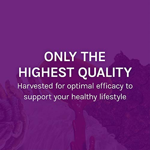 Host Defense, MyCommunity Capsules, Advanced Immune Support, Mushroom Supplement with Lion’s Mane, Reishi, Vegan, Organic, 30 Capsules (15 Servings)