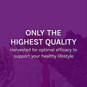 Host Defense, MyCommunity Capsules, Advanced Immune Support, Mushroom Supplement with Lion’s Mane, Reishi, Vegan, Organic, 60 Capsules (30 Servings)