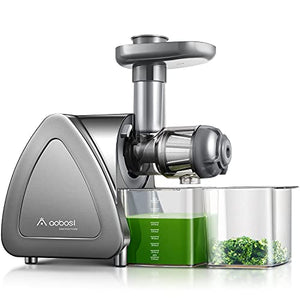 Aobosi Slow Masticating Juicer Machine, Cold Press juicer Extractor, Quiet Motor, Reverse Function, High Nutrient Fruit and Vegetable Juice with Juice Jug & Brush for Cleaning, Gray