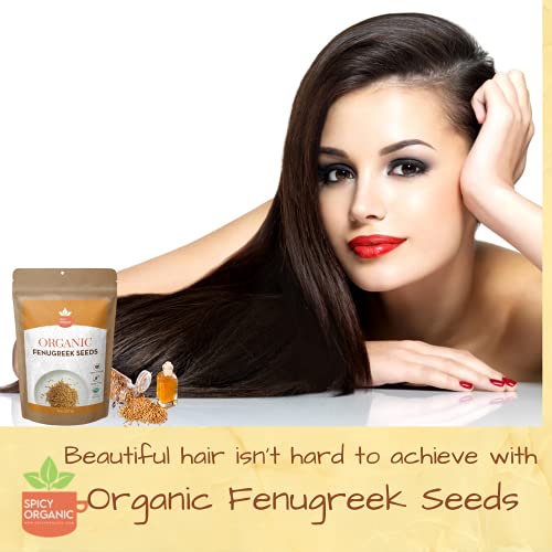 SPICY ORGANIC Fenugreek Seeds - Freshly Packed Methi Seeds - Fenugreek Seeds for Hair Growth - 100% Pure USDA Organic - 16 OZ