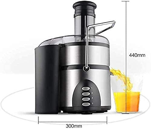 RenminRoad Juicer,Masticating Juicer Machine,Slow Juice Extractor,Cold Press Juicer Machine with Quiet Motor,Easy to Clean,Multifunctional Juicer for High Nutrient Fruit & Vegetable Juice