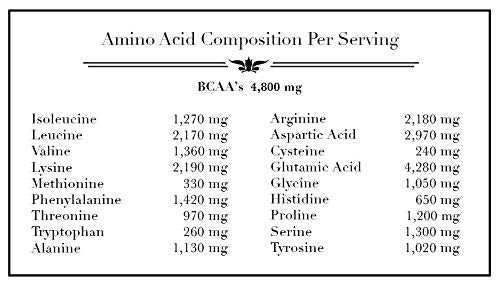 Source Organic - Premium Pea Protein Isolate - 100% Vegan and Organic - UNFLAVORED - Bulk 2lbs