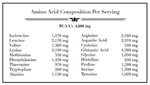 Source Organic - Premium Pea Protein Isolate - 100% Vegan and Organic - UNFLAVORED - Bulk 2lbs