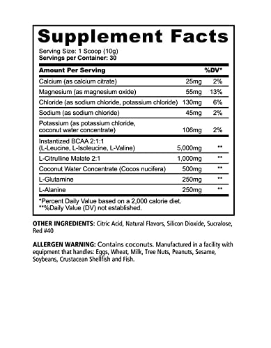 UNDERGROUND BIO LABS™ Panda SUPPS – Recover BCAA + Hydration - 30 Servings, 5G BCAA 2:1:1, 1G L-Tyrosine, Coconut Water Powder, L-Glutamine, Superior Taste and Absorption (Strawberry Watermelon)