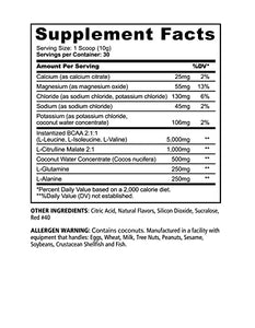 UNDERGROUND BIO LABS™ Panda SUPPS – Recover BCAA + Hydration - 30 Servings, 5G BCAA 2:1:1, 1G L-Tyrosine, Coconut Water Powder, L-Glutamine, Superior Taste and Absorption (Strawberry Watermelon)