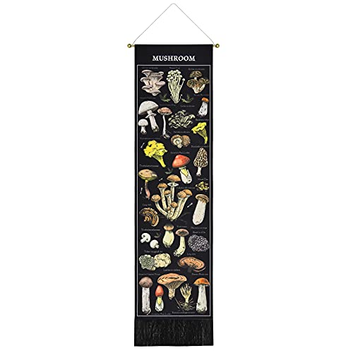 Mushroom Tapestry Black Background Tapestry Vertical Tapestry Illustrative Reference Chart Tapestry Wall Hanging for Room(12.8 x 51.2 inches)