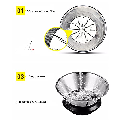 Slow Masticating Juicer Extractor Easy To Clean, 2 Speed Cold Press Juicer With Juice Cup For Vegetable And Fruit Carrots, Oranges And Celery, Etc (Silver)