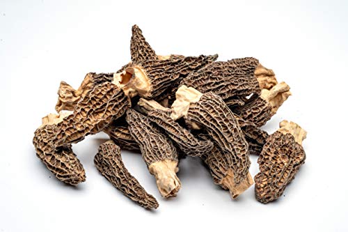 Slofoodgroup Dried Morel Mushrooms (Morchella Conica) Gourmet Morel Mushrooms (.25 lb/ 4 oz Morel Mushrooms)