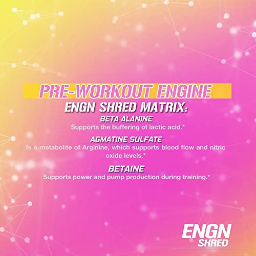 Evlution Nutrition ENGN Shred Pre Workout Powder, Energy, 30 Servings (Pink Lemonade)