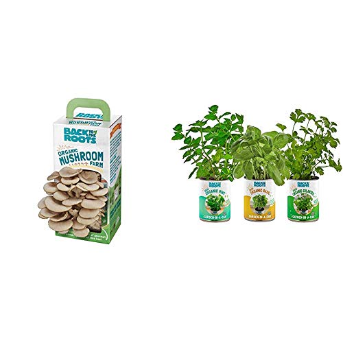 Back to the Roots Organic Mushroom Growing Kit + Garden-in-a-Can Kitchen Herb Variety 3 pack Basil/Cilantro/Mint