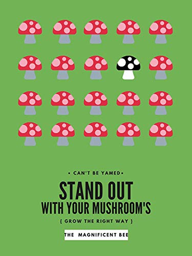 Reinforced Mushroom Grow Bags, 10 Count, Oyster Spawn and Grain Root Substrate Growing Kit with 0.2 Micron Filter, Large 8” x 5” x 20”, Thickest Available Heavy Duty 3 Mil Polypropylene Plastic