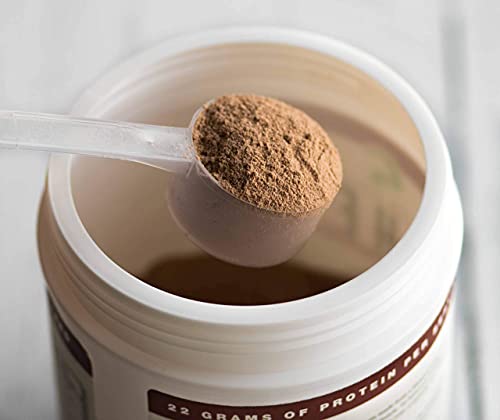 Whey Fantastic - Chocolate - Made with 100% Pure Grass Fed Whey Protein - Optimum Blend of Undenatured Whey Isolate, Concentrate & Hydrolysate - Non-GMO, Soy & Gluten Free -12 Servings 1lb.