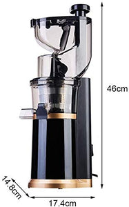 QIN Slow Masticating Extractor Easy to Clean Cold Press Juicer, with Reversal Function,BPA-free Masticating Juicer with Juice Jug