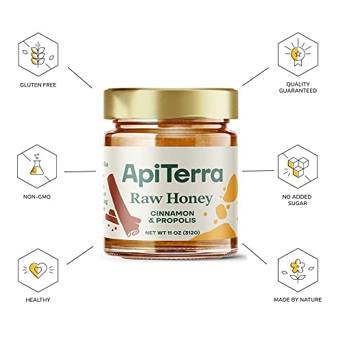 ApiTerra - Raw Honey with Cinnamon & Propolis , 11oz (pack of 3)