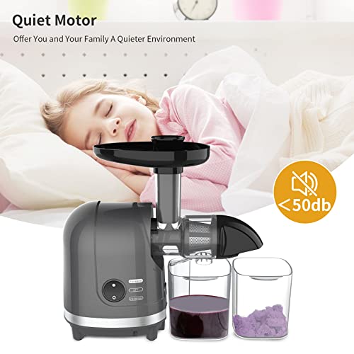 Slow Masticating Juicer Easy to Clean, Cold Press juicer Extractor with 95% Juice Yield, Quiet Motor, Reverse Function Anti-Clogging, 7 Segment Spiral for Vegetable and Fruit