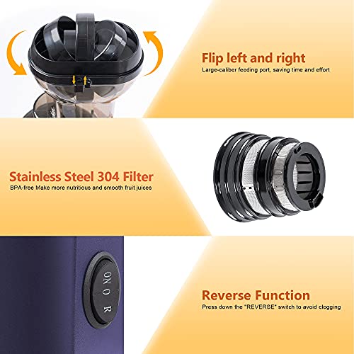 Slow Masticating Juicer High Yield,MOLTRES Cold Press Juicer Machine with Quiet Motor, Juicer Extractor with Reverse Function for Vegetables and Fruits Supplies a Brush Easy to Clean