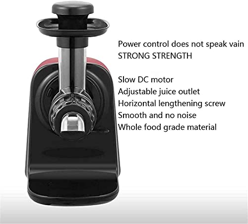BXZYYL Juicer, Slow Masticating Juicer Extractor with Reverse Function, Cold Press Juicer Machine with Quiet Motor, Juice Jug for Vegetables and Fruits