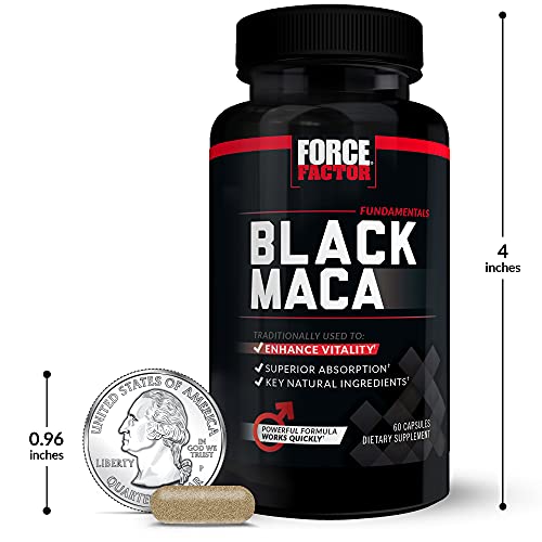 Black Maca Root Vitality Supplement for Men with Superior Absorption and Power, Natural Maca Negra Extract, Fundamentals Series, 1000mg, Force Factor, 120 Capsules (2-Pack)