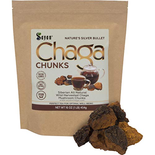 Sayan Siberian Pure Raw Chaga Mushroom Chunks with Black Top Crust 1 Lb / 454 g – Premium Wild Forest Harvested Super Antioxidant Tea, Supports Immune System, Heart & Liver Health