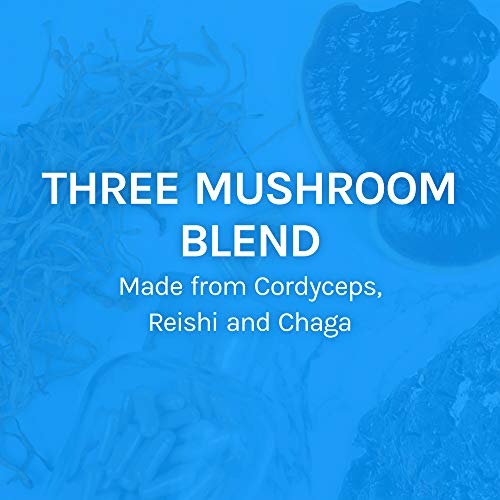 Host Defense, Breathe, 30 Capsules, Respiratory Support, Mushroom Supplement with Cordyceps, Reishi and Chaga, Vegan, Organic, 15 Servings