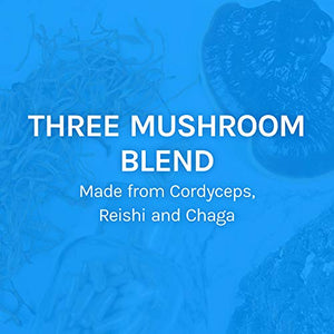 Host Defense, Breathe, 30 Capsules, Respiratory Support, Mushroom Supplement with Cordyceps, Reishi and Chaga, Vegan, Organic, 15 Servings