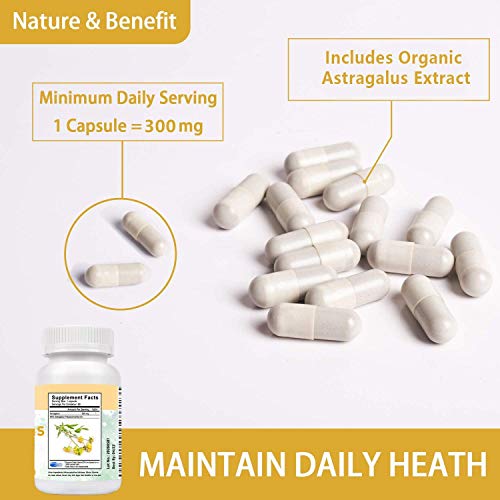 Sthenia Astragalus Root 300 mg Supplement 90 Vegan Capsules for Immune System Support, Improve Body Defense for Man & Women, (40% Polysaccharides) Non-GMO