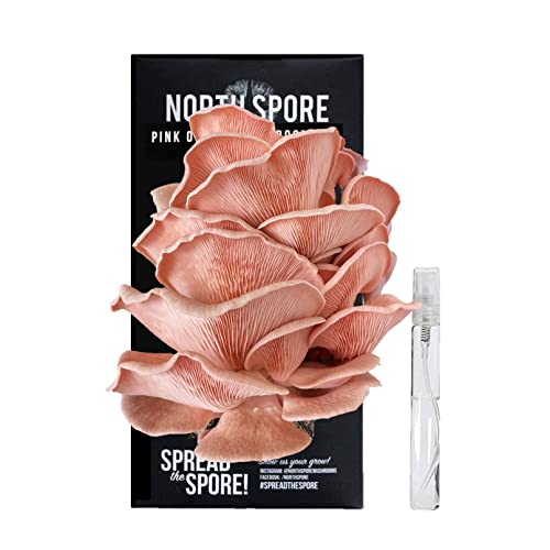 North Spore | Pink Oyster Mushroom Grow Kit | Easy to Use, Harvest Your Own Gourmet Mushrooms at Home | Kit Contains a Sawdust Block Colonized with Vigorous Productive Pink Oyster Mushroom Mycelium