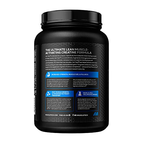 Creatine Monohydrate Powder | MuscleTech Cell-Tech Creatine Powder | Post Workout Recovery Drink | Muscle Builder for Men & Women | Muscle Building Creatine Supplements | Fruit Punch, 3 lbs (28 Serv)