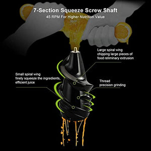 QXWJ Juicer Machine,Slow Masticating Juicer,Wide-Groove Slow Chewing Juicer for High-Nutrient Fruit and Vegetable Juice Cold-Pressed Juicer BPA-Free,Easy to Clean
