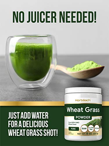 Wheatgrass Powder | 8oz | Vegan, Raw, Non GMO & Gluten Free Wheat Grass Superfood Powder | by Horbaach