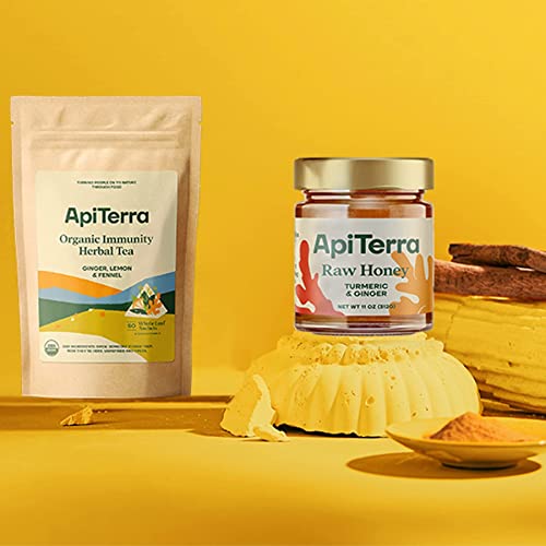 ApiTerra - Raw Honey with Turmeric & Ginger, 11oz (pack of 3)