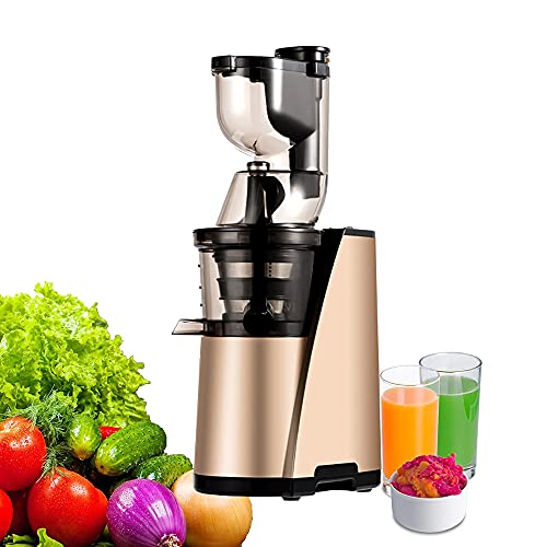 150W Electric Slow Juicer Masticating Juicer Machine, Quiet Motor Cold Press Juicer Extractor with Brush, CE FCC CCC