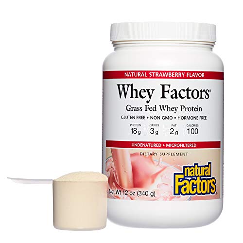 Whey Factors by Natural Factors, Grass Fed Whey Protein Concentrate, Aids Muscle Development and Immune Health, Strawberry, 12 Oz