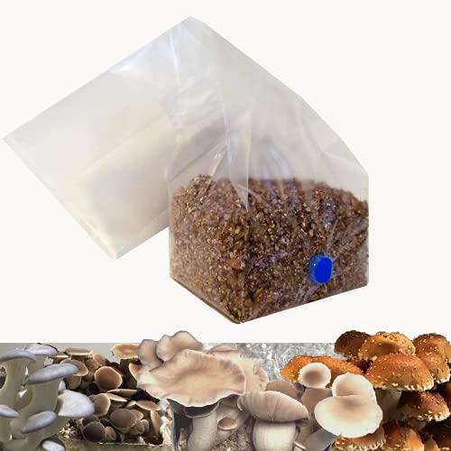 Mushroom Substrate Grow Kit Sterile Oat/Rye One Step Injectable Growth Media Bag