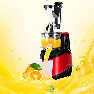 XBYUNDING Juicer Machines，Slow Masticating Juicer Extractor Cold Press Juicing Machine for Fruits And Vegetables,Stainless Steel Wide Mouth High Juice Yield,Extract Healthy Nutrition