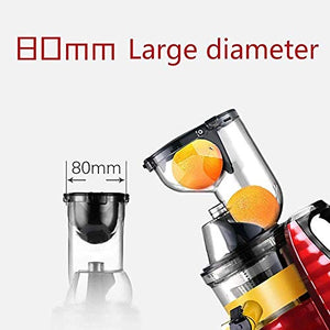 ZOUSHUAIDEDIAN Slow Masticating Juicer,Wide Chute Juice Extractor Cold Press Juicer Machine with Quiet Motor/Reverse Function/Juice Jug for High Nutrient Fruit & Vegetable Juice,Multifunctional Juicer