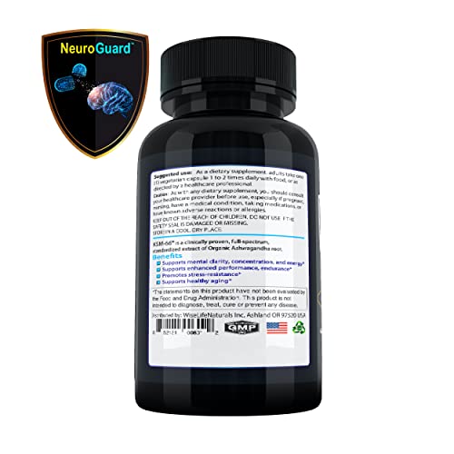 Energy Boost Nootropic Brain Foods: Focus Mood Memory Natural Nerve Tonic Anti Stress Support Pre Workout Sport Enhancing Stack Ashwagandha Bacopa Ginkgo Ginseng Phosphatidylserine DMAE Pro Gaming X2