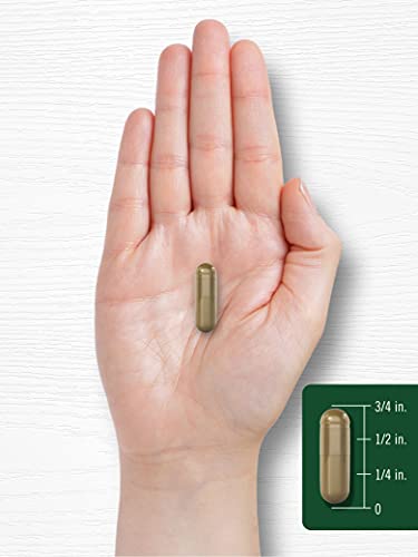 Fenugreek Capsules | 2000mg | 300 Count | Non-GMO & Gluten Free Extract | Fenugreek Seeds | by Carlyle