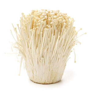 100 Grams of Enoki Mushroom Spawn Mycelium to Grow Gourmet and Medicinal Mushrooms at Home or commercially - Use to Grow on Sawdust Blocks - G1 or G2 Spawn