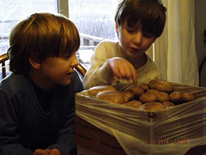 Crimini ~ Portabella ~ Baby Bella Mushroom Growing Kit - Easy to Grow Your own Fresh Mushrooms!