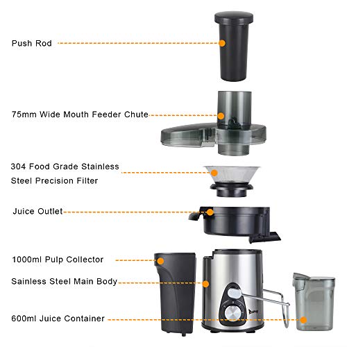 American Standard J02 110V 600W 75MM Large Caliber 600ML Juice Cup 1000ML Slag Cup Double Gear Electric Juicer Stainless Steel Black