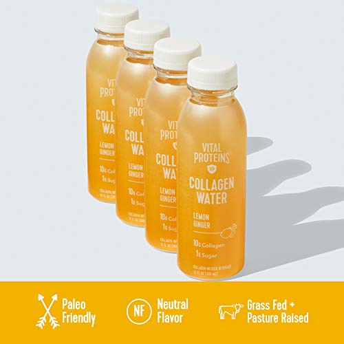 Vital Proteins Collagen Water™, 10g of Collagen per Bottle, Made with Real Fruit Juice, Dairy & Gluten Free - Lemon Ginger, 12 Pack
